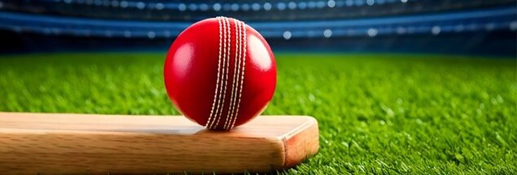 Cricket Game Features