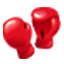 Boxing Icon